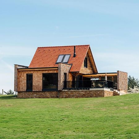 Chalet "Troadkostn" Mit Finnischer Panoramasauna & Edelstahl Hot Tub Eibiswald Экстерьер фото